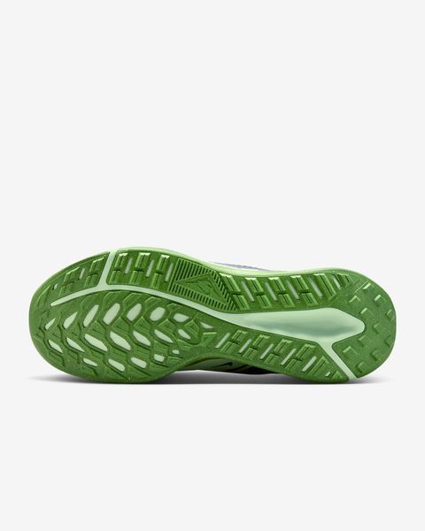 Мужские кроссовки NIKE JUNIPER TRAIL 2 GTX (FB2067-403) FB2067-403 фото