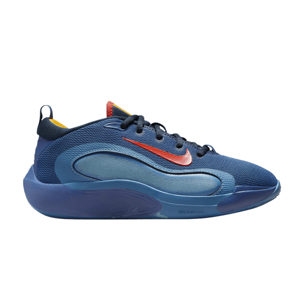 Баскетбольные кроссовки Nike IsoFly (FN4384-007) FN4384-007 фото