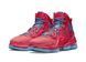 Баскетбольные кроссовки Nike Lebron 19 (CZ0203-600) CZ0203-600 фото 11