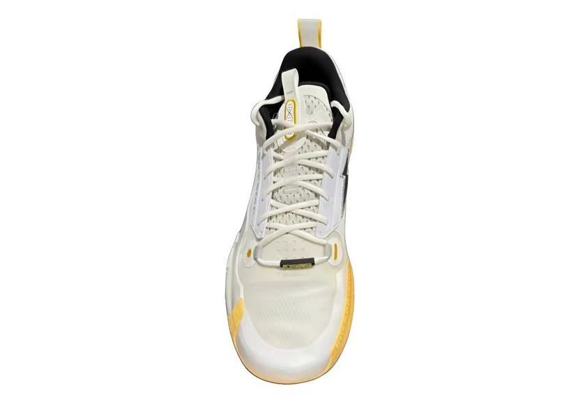 Баскетбольні кросівки Li-Ning Way of Wade 10 Low ABAS083-37 ABAS083-37 фото