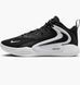 Баскетбольні кросівки Nike Zoom Hyperset 2 (FQ7070-001) FQ7070-001 фото