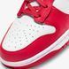 Чоловічі кросівки NIKE DUNK HI RETRO (DD1399-106) DD1399-700 фото 7