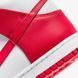 Чоловічі кросівки NIKE DUNK HI RETRO (DD1399-106) DD1399-700 фото 8