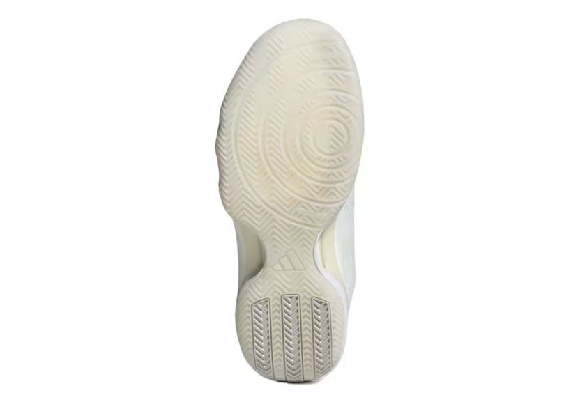 Adidas Crazyflight 7 KJ1279 фото