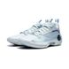 Баскетбольные кроссовки Li-Ning Wow10 Low Cold Ice (ABAS083-16) ABAS083-16 фото 2