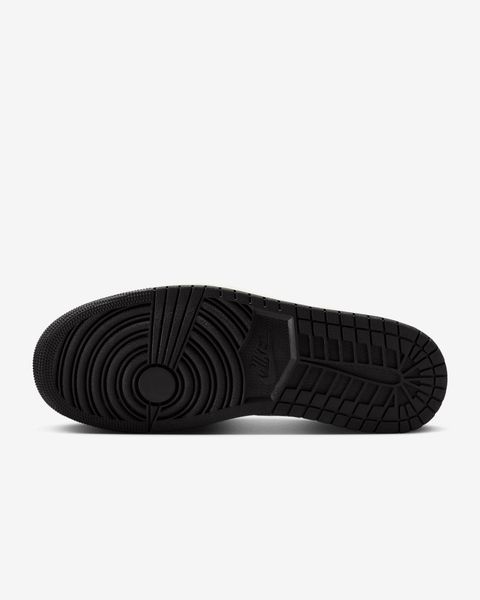 AIR JORDAN 1 (553558-081)