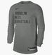 Світшот чоловічий Nike Grey FD9941-063 фото 1