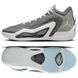 Jordan Tatum 1 Grey DZ3324-002 (DZ3324-002)