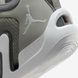 Air Jordan Tatum 1 "Cool Grey" (DZ3324-002)