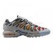 Nike Air Max Plus Drift Shoes Grey (FD4290-002)