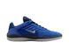 Баскетбольні кросівки Nike SB Vertebrae (FD4691-400) FD4691-400 фото 2