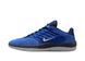 Баскетбольні кросівки Nike SB Vertebrae (FD4691-400) FD4691-400 фото 1