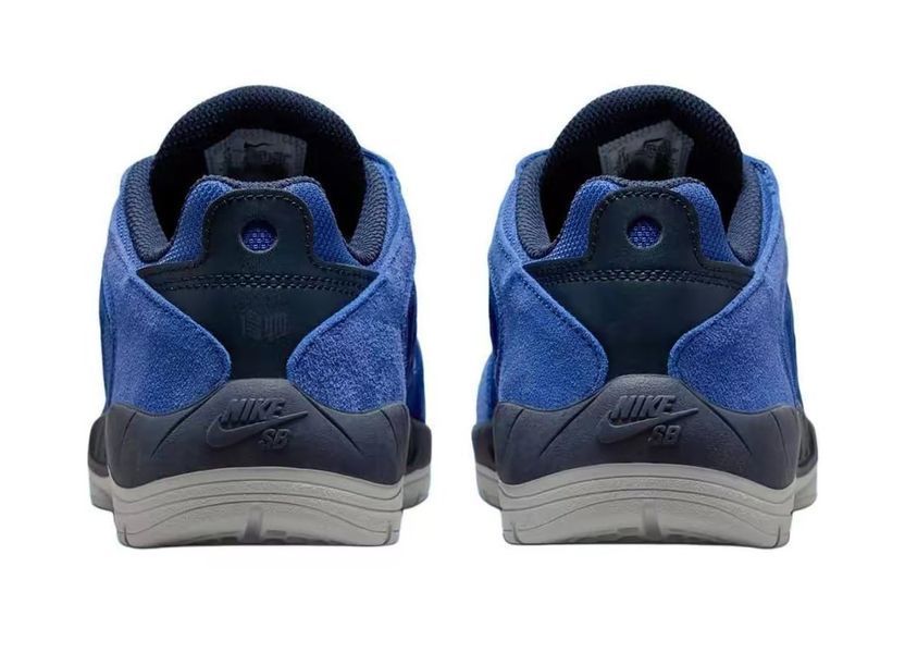 Баскетбольні кросівки Nike SB Vertebrae (FD4691-400) FD4691-400 фото