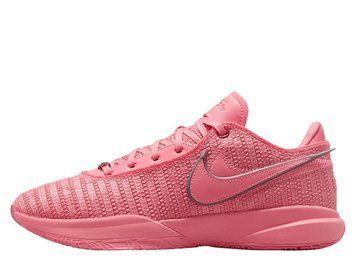 LeBron XX(DJ5423-600)