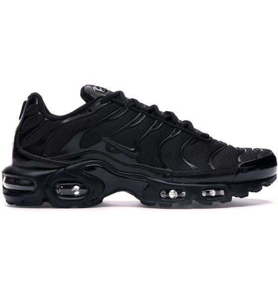 Чоловічі кросівки Nike AIR MAX PLUS (604133-050) 604133-050 фото