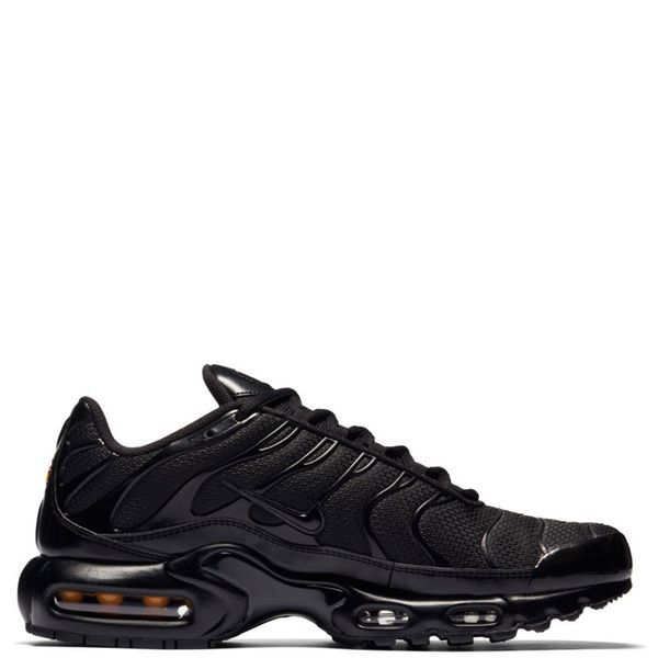 Чоловічі кросівки Nike AIR MAX PLUS (604133-050) 604133-050 фото