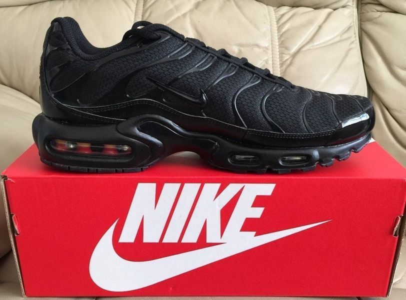 Чоловічі кросівки Nike AIR MAX PLUS (604133-050) 604133-050 фото