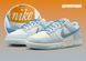 Nike Dunk Low Se White/Light Blue (IH2479-100)
