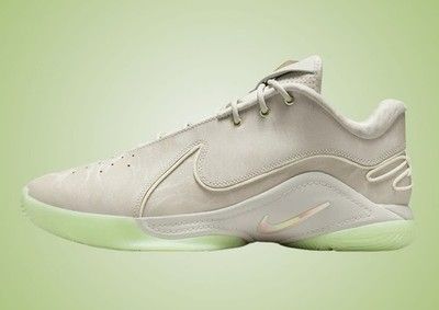 Баскетбольные кроссовки Nike LeBron XXII 22 Beige FZ1094-002 (FZ1094-002) FZ1094-002 фото