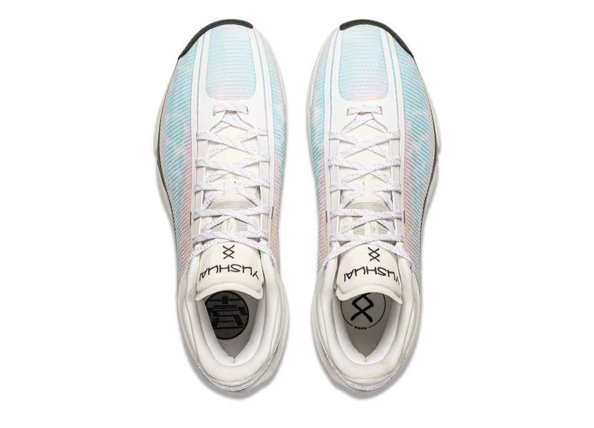 Баскетбольні кросівки Li-Ning Yushuai 20 'White/Black' ABAW003-15 фото