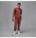 Air Jordan Flight Essentials 85 Bordo
