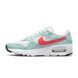 Air Max SC CW4555-003-42.5 фото