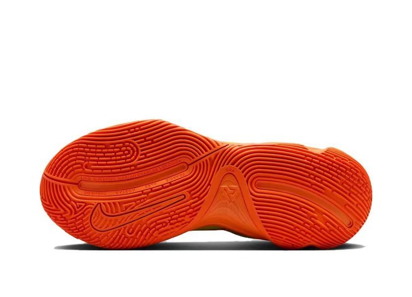 Кросівки Nike Giannis Immortality 4 FQ3680-301 фото