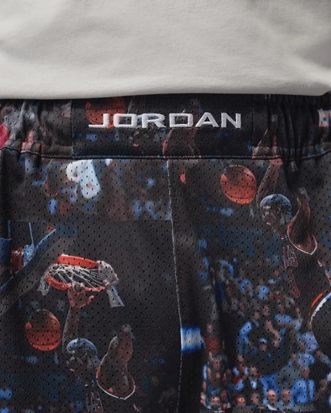 шорты Nike Air Jordan Flight Printed Cat Scratch