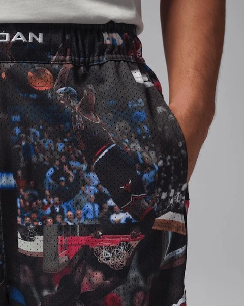 шорты Nike Air Jordan Flight Printed Cat Scratch