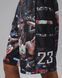 шорты Nike Air Jordan Flight Printed Cat Scratch