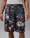 шорты Nike Air Jordan Flight Printed Cat Scratch