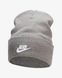 Шапка Nike Tall Cuff Futura Beanie (FB6528-091) FB6528-091 фото 1