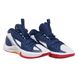 Баскетбольні кросівки Nike Air Jordan Zoom Separate Olympic(DH0249-471) DH0249-471 фото 5