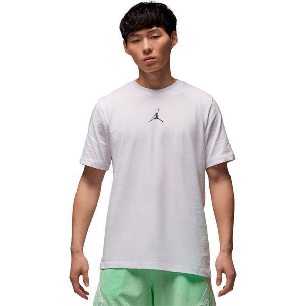 Мужская футболка Nike Jordan Sport мужские Dri-FIT HJ2397-543 фото