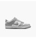 Nike Dunk Low Gs (FB9109-123) (FB9109-123)