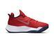 Nike Air Zoom BB NXT (CK5707-600)