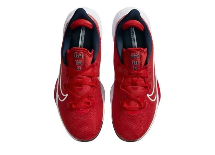 Nike Air Zoom BB NXT (CK5707-600)