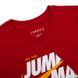 Футболка мужская Jordan Jumpman (DM3219-687) DM3219-687 фото 3