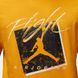 Футболка Air Jordan Brand Gfx Ss Crew 1 Yellow DX9593-717 S DX9593-717 фото 3